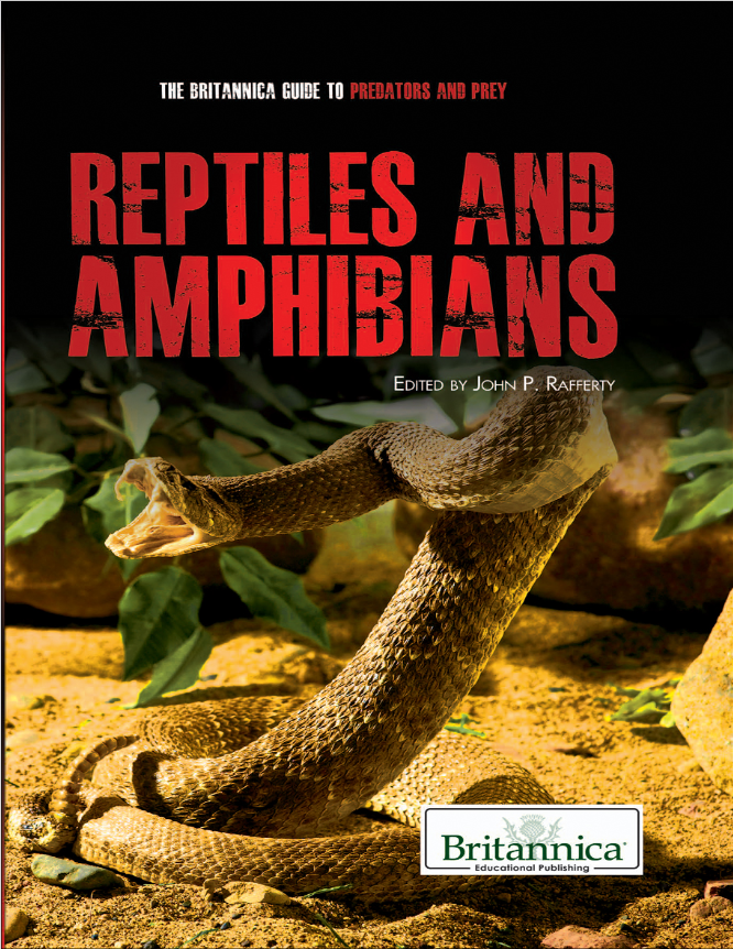 Reptiles and Amphibians